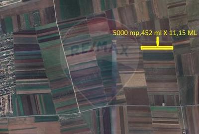 Teren de 5000 mp, în Tărlungeni - 3