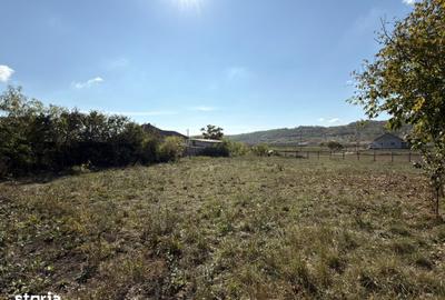 Teren de 1688 mp, în Erbiceni