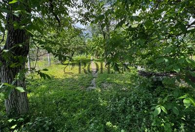 Casă cu 2 camere cu Teren 700 Mp în Maier - 1