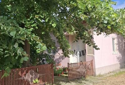 Casă cu Teren 3169 Mp în Olteni