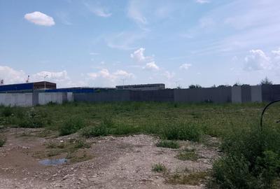 Teren de 252 mp, în Călărași