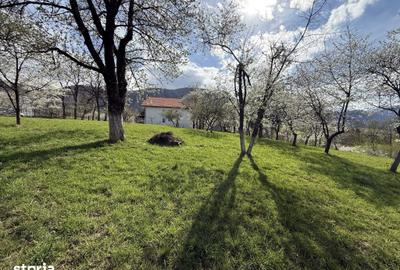 Teren de 1355 mp, în Tohănița