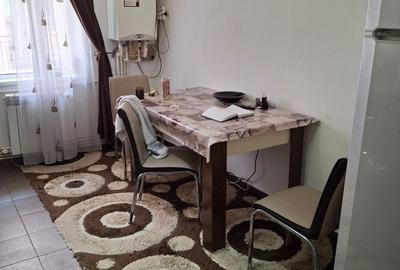 Apartament cu 2 camere în Paltin - 6