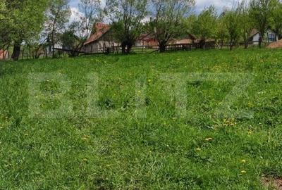 Spațiu comercial, în Moieciu - 5