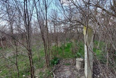 Teren de 1500 mp, în Livada - 8