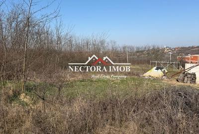 Spațiu comercial, în Paleu - 1