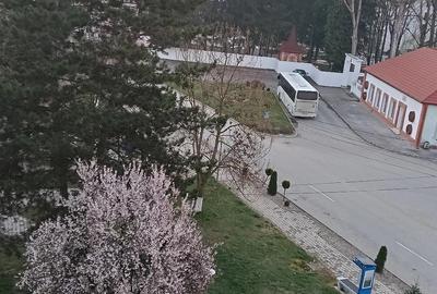 Garsonieră decomandată în Vața de Jos - 2
