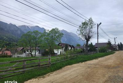 Teren de 2675 mp, în Poiana Țapului - 3