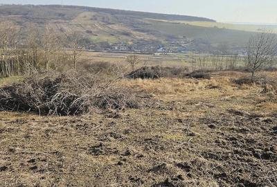Teren de 3600 mp, în Lipovăț - 9
