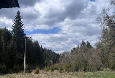 Teren de 19954 mp, în Dorna-Arini - 4