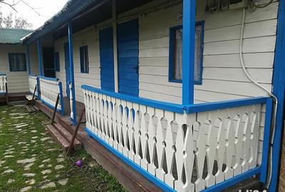 Casă cu 11 camere cu Teren 2200 Mp în Crișan - 9