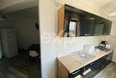 Apartament cu 2 camere decomandat, mobilat în Găvana 3
