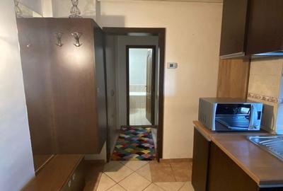 Apartament cu 2 camere decomandat în Parcul Carol - 9