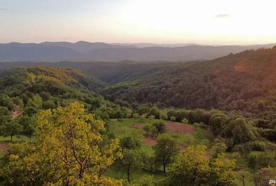 Teren de 2000 mp, în Brusturi