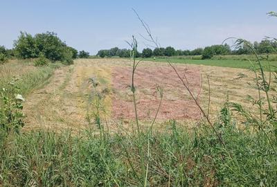 Teren Construcții intravilan de 665 mp, în Săbăreni - 2