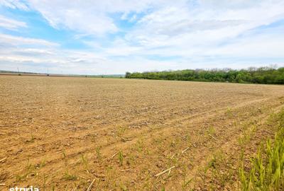 Teren de 7900 mp, în Bucov