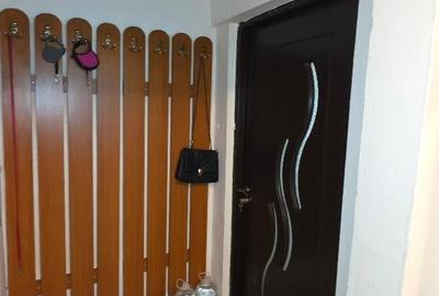 Apartament cu 3 camere semidecomandat în Pantelimon - 8