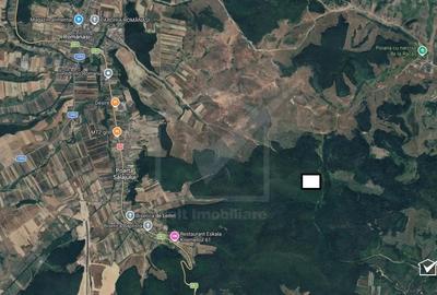 Teren extravilan de 35550 mp, în Hida - 2