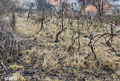 Teren de 1000 mp, în Bucium