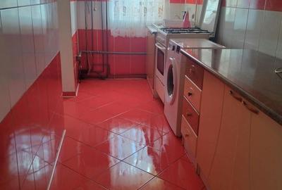 Apartament cu 2 camere decomandat în Cetate