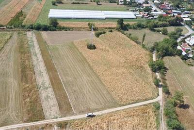 Teren de 2500 mp, în Filipeștii de Târg
