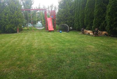 Casă cu 4 camere în Periș - 1