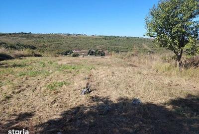 Teren de 1110 mp, în Bârnova - 6