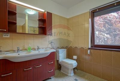 Duplex cu 6 camere cu Canalizare în Noua - 24