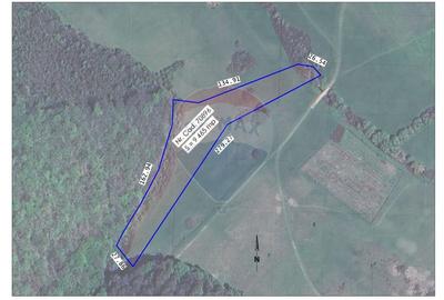 Teren agricol intravilan de 9465 mp, în Betfia - 1