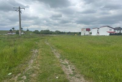 Teren Construcții extravilan de 8600 mp, în Șelimbăr - 6