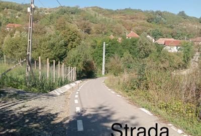 Teren de 3100 mp, în Moigrad-Porolissum - 4