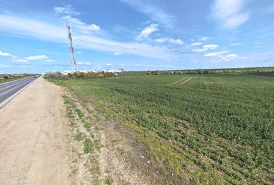 Teren Construcții intravilan de 11225 mp, în Exterior Sud