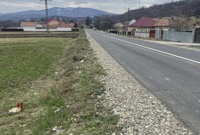 Teren de 3145 mp, în Mănăstirea Cașin - 3