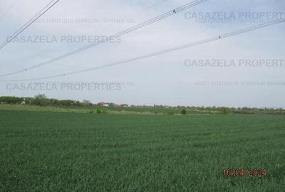 Teren agricol extravilan de 2000 mp, în Frumușani