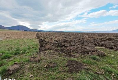 Teren de 16500 mp, în Bartolomeu - 2