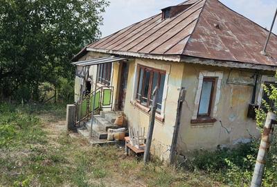 Teren de 8000 mp, în Goiești