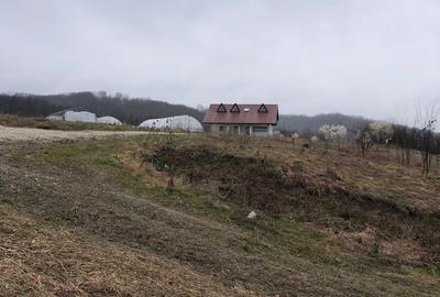 Teren agricol extravilan de 33 mp, în Zătreni - 20