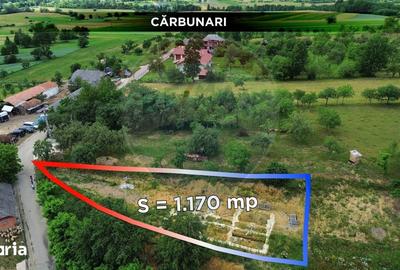 Teren de 1170 mp, în Dumbrăvița - 4
