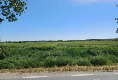 Teren de 5000 mp, în Siliștea Snagovului - 1