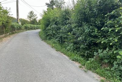 Casă cu 4 camere în Băița - 4