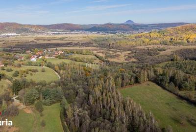 Teren de 37723 mp, în Bran - 15