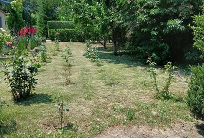 Casă cu 4 camere cu Teren 1500 Mp în Bora - 2