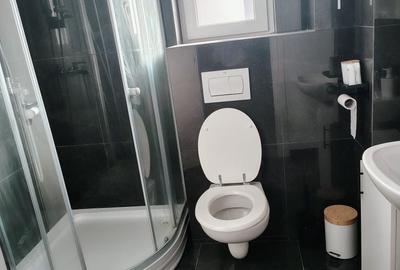 Apartament cu 2 camere decomandat în Lunca Cetățuii - 6