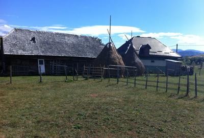 Teren Construcții intravilan de 1500 mp, în Șirnea - 5