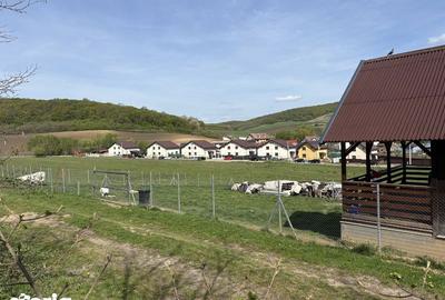 Teren de 1150 mp, în Sâncraiu de Mureș - 4
