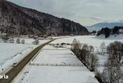 Teren de 2400 mp, în Plaiul Foii - 7