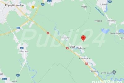 Teren de 5000 mp, în Frumușani