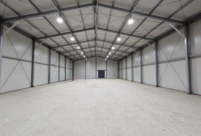 Spațiu industrial, de 600 mp, în Jilava - 1