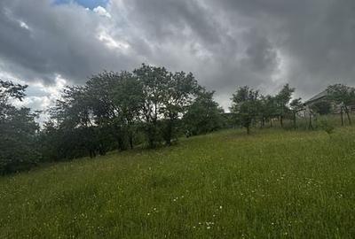 Teren de 30 mp, în Copalnic - 5