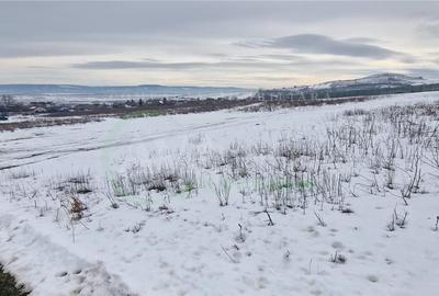 Teren de 1800 mp, în Sărata - 7